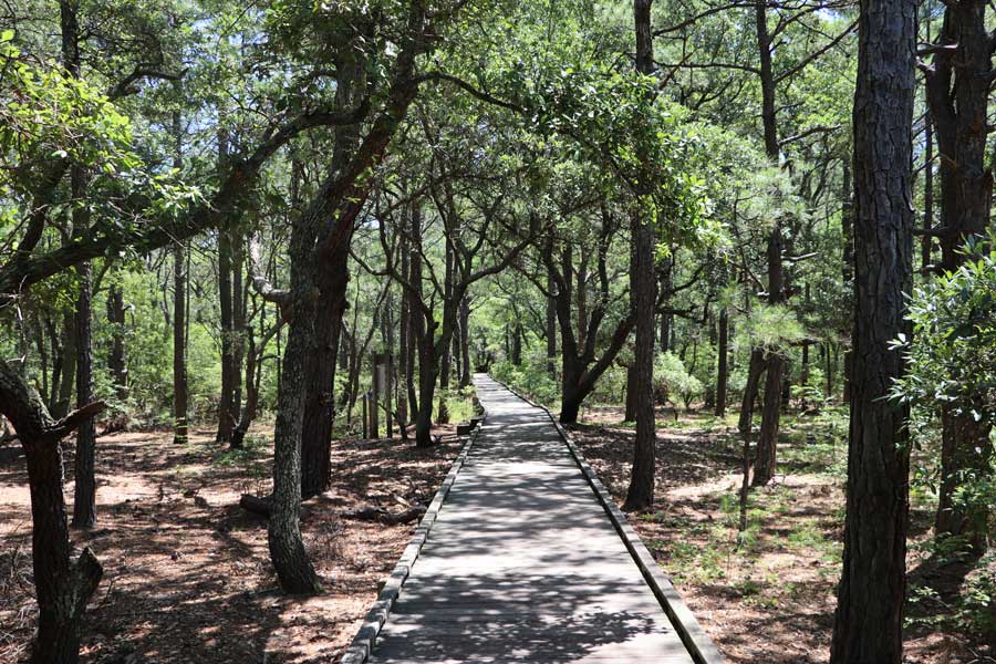 Currituck Banks Maritime Trail