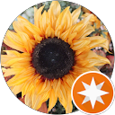 Selena Nederhoff profile picture